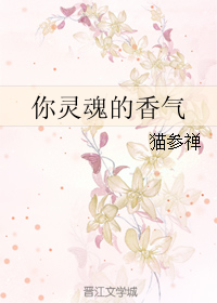 《你灵魂的香气》全集下载 《你灵魂的香气》全集下载