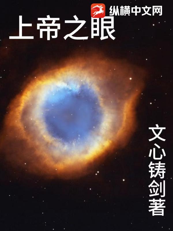 《上帝之眼》全集下载