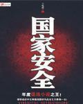 《国家安全》全集下载 《国家安全》全集下载