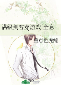 《满级剑客穿游戏[全息]》全集下载
