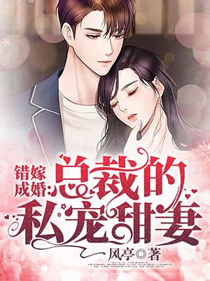 《秦舒褚临沉》全集下载