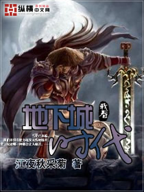 《地下城时代》全集下载 《地下城时代》全集下载