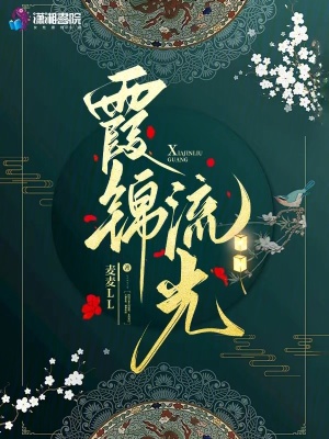 《霞锦流光》全集下载