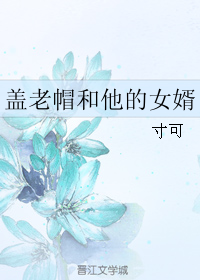 《盖老帽和他的女婿》全集下载 《盖老帽和他的女婿》全集下载