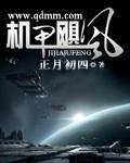 《机甲飓风》全集下载