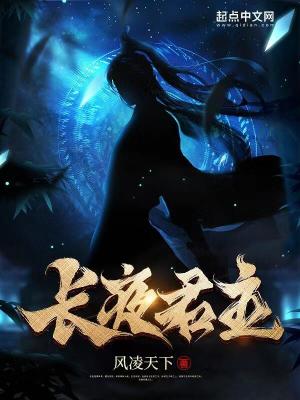 《长夜君主》全集下载