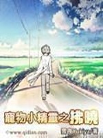 《宠物小精灵之拂晓》全集下载 《宠物小精灵之拂晓》全集下载