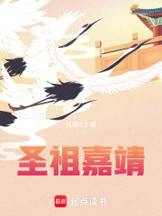 《圣祖嘉靖》全集下载 《圣祖嘉靖》全集下载
