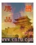 《赝品》全集下载