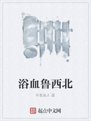 《浴血鲁西北》全集下载 《浴血鲁西北》全集下载