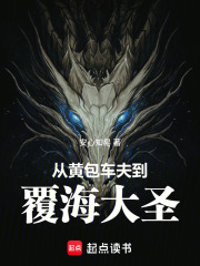 《从黄包车夫到覆海大圣》全集下载