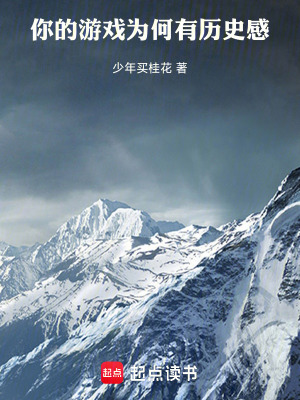 《你的游戏为何有历史感》全集下载 《你的游戏为何有历史感》全集下载