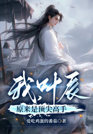 《我，叶辰原来是顶尖高手》全集下载