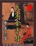 《大宋金手指》全集下载 《大宋金手指》全集下载