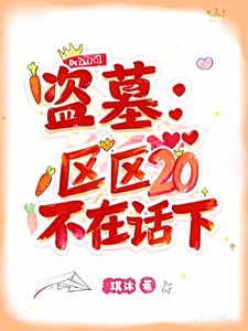 《盗墓：区区20，不在话下！》全集下载