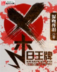 《杀日王牌》全集下载