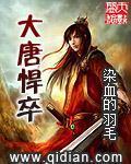 《大唐悍卒》全集下载