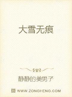 《大雪无痕》全集下载