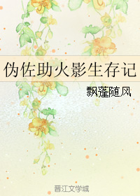 《伪佐助火影生存记》全集下载 《伪佐助火影生存记》全集下载