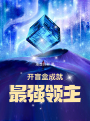 《开盲盒成就最强领主》全集下载
