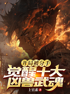 《开局被分手,觉醒十大凶兽武魂》全集下载 《开局被分手,觉醒十大凶兽武魂》全集下载