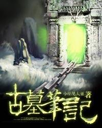 《古墓笔记》全集下载 《古墓笔记》全集下载