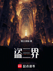 《盗三界》全集下载