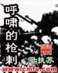 《呼啸的枪刺》全集下载 《呼啸的枪刺》全集下载