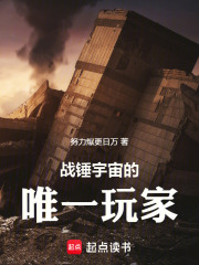 《战锤宇宙的唯一玩家》全集下载