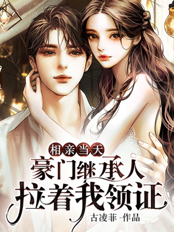 《相亲当天,豪门继承人拉着我领证》全集下载