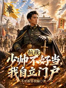 《抗战:少帅不好当,我自立门户》全集下载 《抗战:少帅不好当,我自立门户》全集下载
