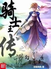 《骑士王传说之幻刃圆舞曲》全集下载