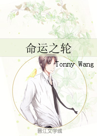 《命运之轮》全集下载 《命运之轮》全集下载