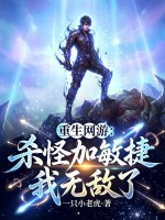 《重生网游:杀怪加敏捷,我无敌了》全集下载 《重生网游:杀怪加敏捷,我无敌了》全集下载
