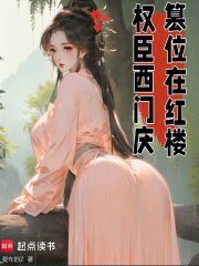 《权臣西门庆,篡位在红楼》全集下载 《权臣西门庆,篡位在红楼》全集下载