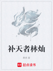 《补天者林灿》全集下载 《补天者林灿》全集下载