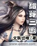 《错穿三国》全集下载