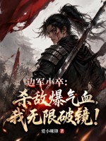 《边军小卒:杀敌爆气血,我无限破镜!》全集下载 《边军小卒:杀敌爆气血,我无限破镜!》全集下载