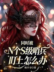 《同时被N个S级哨兵盯上怎么办》全集下载