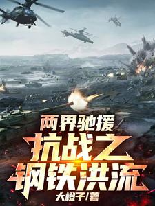 《两界驰援：抗战之钢铁洪流》全集下载