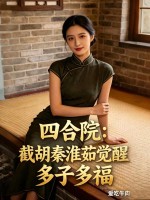 《四合院：截胡秦淮茹觉醒多子多福》全集下载