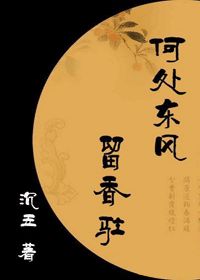 《何处东风留香驻》全集下载
