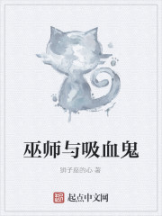 《巫师与吸血鬼》全集下载 《巫师与吸血鬼》全集下载
