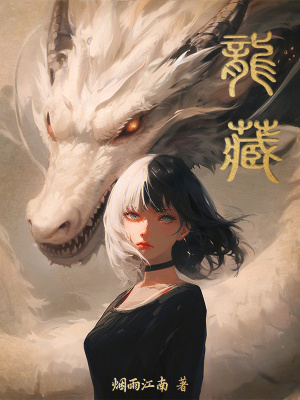 《龙藏》全集下载 《龙藏》全集下载