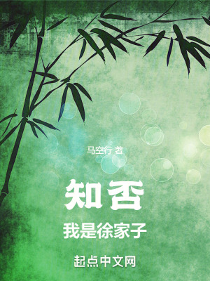 《知否:我是徐家子》全集下载 《知否:我是徐家子》全集下载