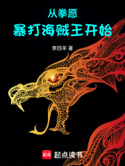 《从拳愿暴打海贼王开始》全集下载