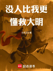 《没人比我更懂救大明》全集下载