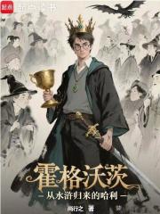 《霍格沃茨:从水浒归来的哈利》全集下载 《霍格沃茨:从水浒归来的哈利》全集下载