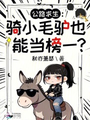 《公路求生：骑小毛驴也能当榜一？》全集下载