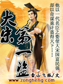 《大宋第一盗》全集下载